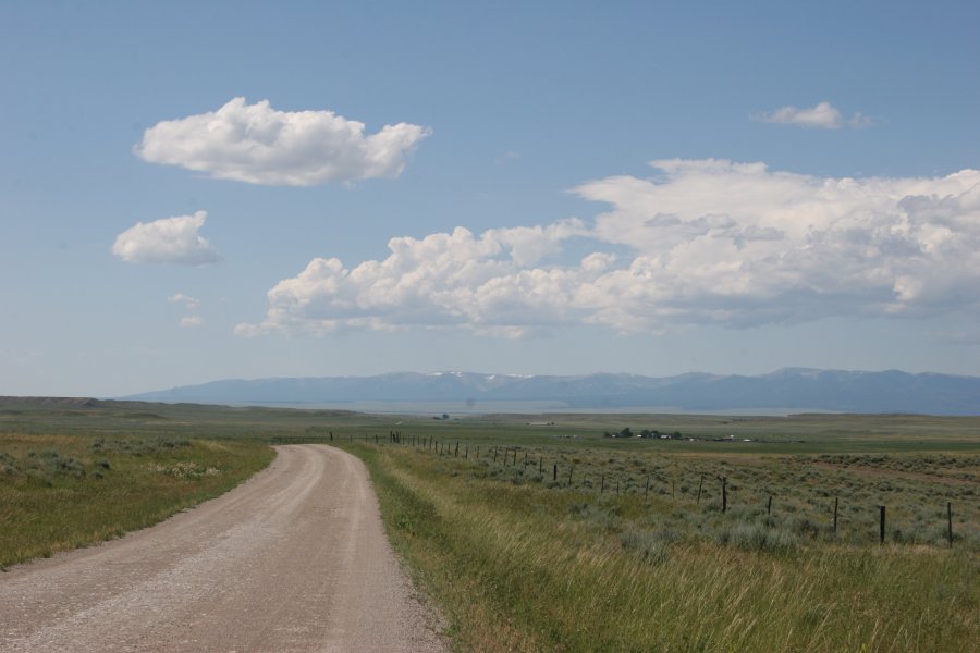 Montana countryside where Longspurs are found