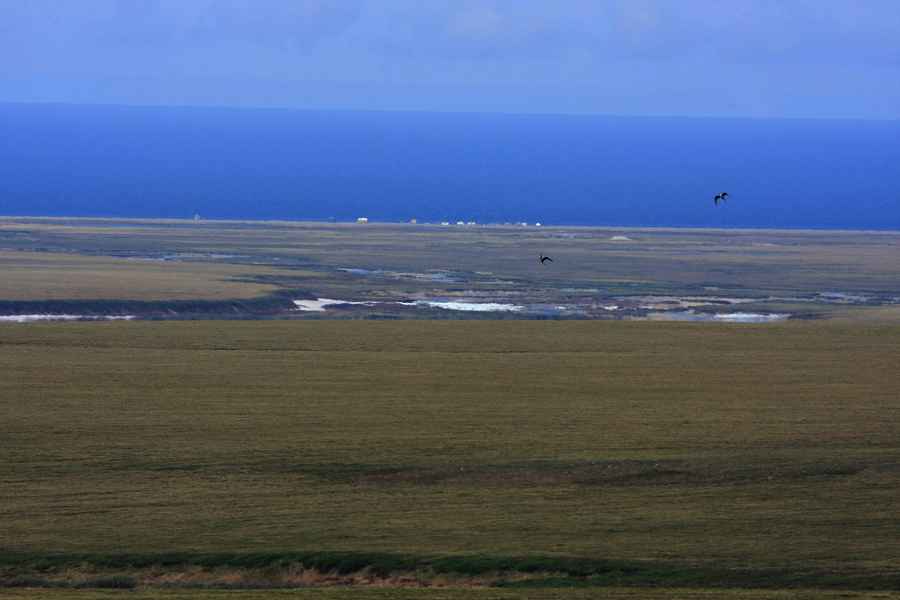 Wooley Lagoon -out the Council Road 40 miles from Nome-