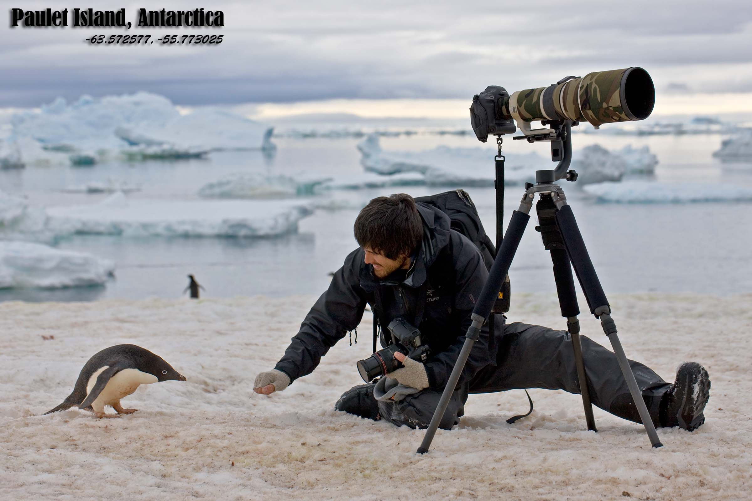 Christopher making friends with an Adelie Penguin on Antartica