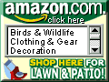Amazon Books
