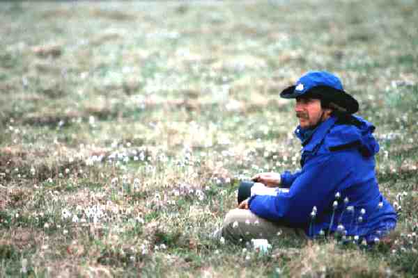 Sitting on the tundra in amongst the cotton grass north of Nome, Alaska on the Kougarok Road - 1990