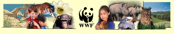 World Wildlife Fund  (WWF)
