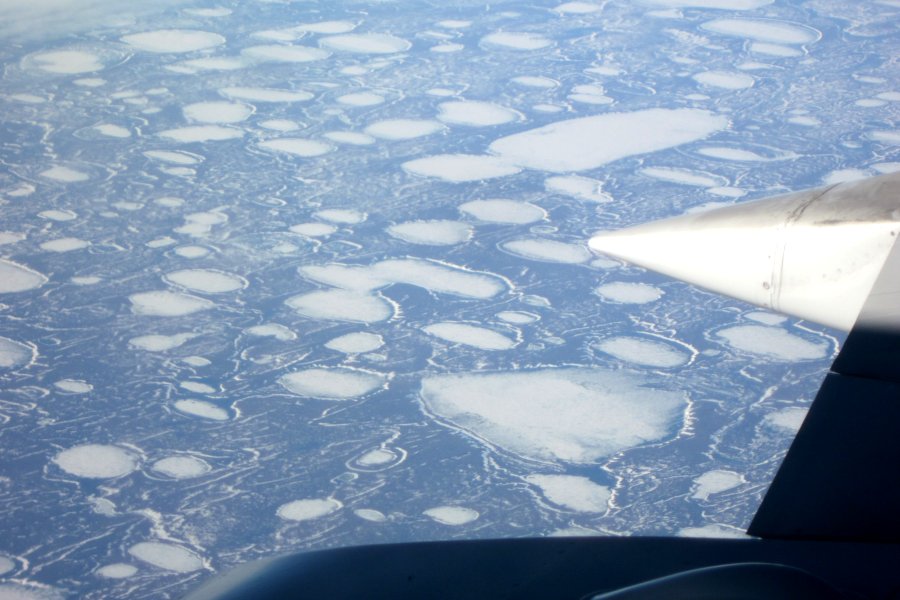 North Slope just south of Barrow, Alaska (early June)